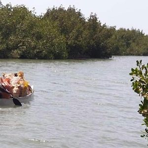 Mangrove Beach Bed and Breakfast Sanyang Exterior photo