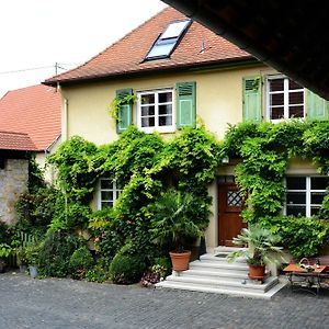 Weingut Jung Villa Undenheim Exterior photo