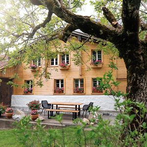 Apartment Solegg, Berner Oberland Innertkirchen Exterior photo