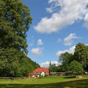 Hotel Zur Sommerfrische Lothramuehle Drognitz Exterior photo