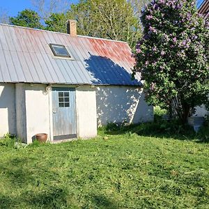 Cozy Wing In Romakloster, Gotland Exterior photo