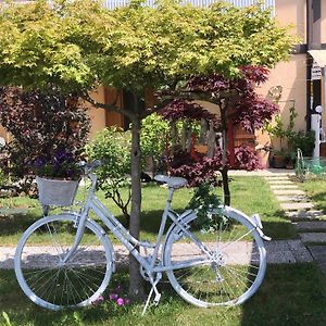 Sensory Garden Bed and Breakfast San Daniele del Friuli Exterior photo