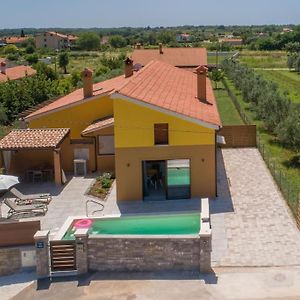 Apartment Vilo With Heated Pool In Istria Marčana Exterior photo