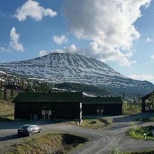 Appartamento Laegenhet Med Utsikt Mot Gaustatoppen, Ski In Ski Out Gaustablikk Exterior photo