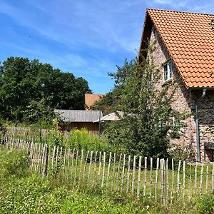 Bispinger-Heidezauber-Haus-Weissdorn Villa Bispingen Exterior photo