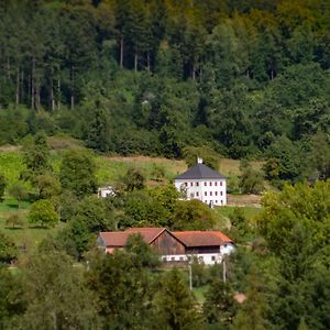 Trattnachtaler Weinhaus Villa Schlusslberg Exterior photo