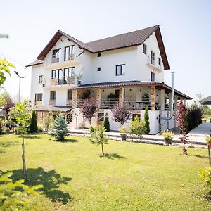 Hotel Rem Garden Novaci-Străini Exterior photo