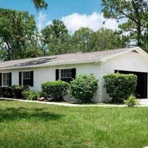 2 Homes Plus Rv On Lake Lutz Exterior photo