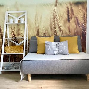 Appartamento Fewo Studio 'Ein Bett Im Kornfeld', Kueche, 30Qm, Souterrain Welver Exterior photo