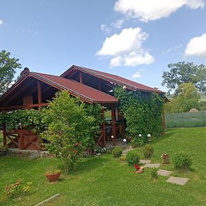 Nárcisz B&B Corund  Exterior photo