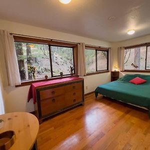 Appartamento Little House In The Redwoods Garberville Exterior photo