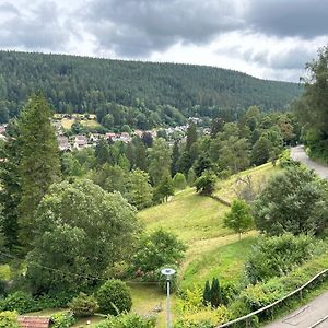 Appartamento Wohn-Eitel Romantik Bad Wildbad Exterior photo