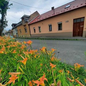 Hotel Kis Rigó vendégház Salgótarján Exterior photo