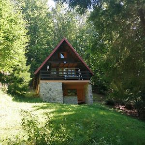 Chata Svaeteho Filipa Villa Hnilcik Exterior photo