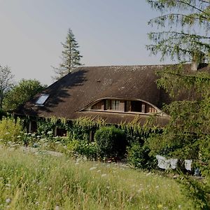 Domaine Foray Bed and Breakfast Villecien Exterior photo