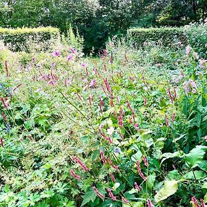 Appartamento Overnacht Met Uniek Uitzicht Op Tuin Boelenslaan Exterior photo