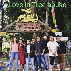 Pemsee'S Tree Town - Eco-Friendly,Tree House Hostel Sauraha Exterior photo