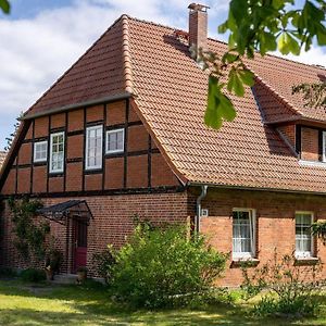 Ferienwohnung-1-Im-Landhaus-Am-Wildpark-Boek Exterior photo