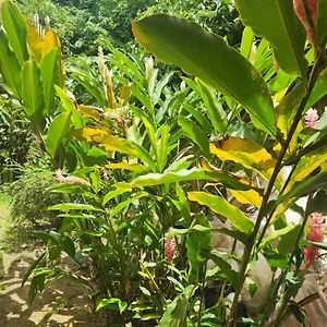 Hilltop View Guesthouse Castries Exterior photo