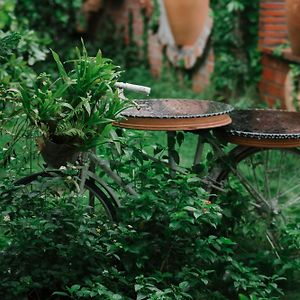 Mekong Pottery Homestay, Green-Friendly & Boat Tour Vĩnh Long Exterior photo