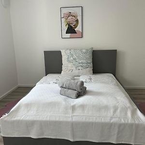 Appartamento Zentrale Lage Netflix Queensize Bett Bruchsal Exterior photo