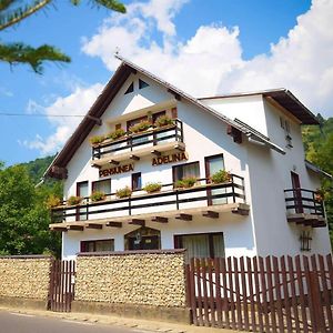 Hotel Pensiunea Adelina Moieciu de Jos Exterior photo