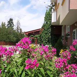 Hotel Zodiac House Samokov Exterior photo