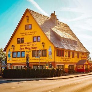 Pension Zum Erzgebirge Altenberg  Exterior photo