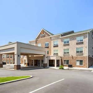 Comfort Inn & Suites High Point - Archdale Exterior photo