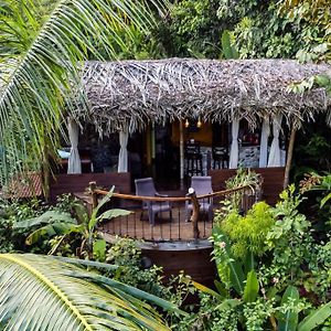 Custom Jungle Home By The Beach Bocas del Toro Exterior photo