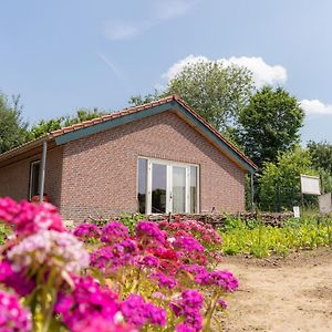 Welcoming Mansion Near The Forest Villa Beesel Exterior photo