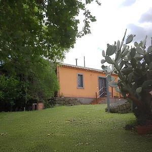 La Casa Di Bacco - Etna Country House - Affitto Breve Villa Castiglione De Sicilia Exterior photo