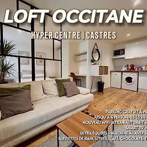 Appartamento Loft Occitane Hyper Centre Castres Castres  Exterior photo