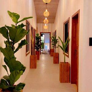 Hotel Oasis Dhigurah Dhigurah  Exterior photo