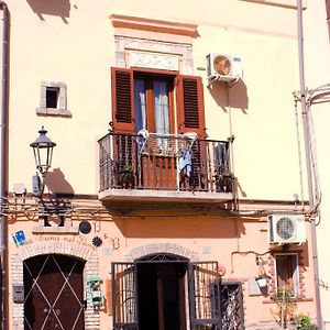 La Luna nel Pozzo Bed and Breakfast Lesina Exterior photo