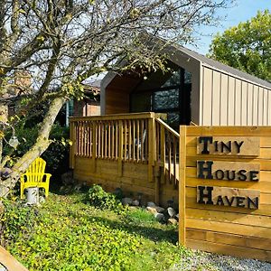 Tiny House Haven Villa Peterborough Exterior photo