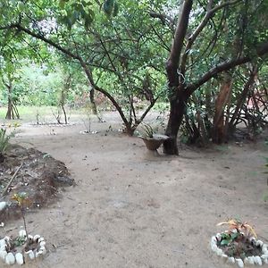 Little Baobab Bed and Breakfast Abémé Exterior photo