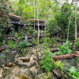 Rock And Tree House Resort Khao Sok National Park Exterior photo