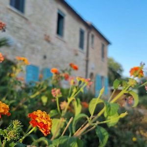 La Sorgente Country House Bed and Breakfast Massignano Exterior photo