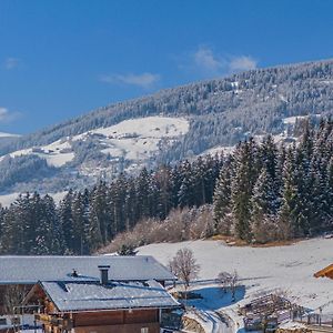 Premium Apartment Wildkogel Hollersbach im Pinzgau Exterior photo