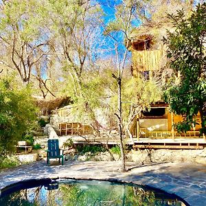 La Casa entre los Árboles en el Valle de Elqui Montegrande Villa Paihuano Exterior photo