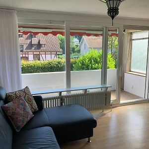 Simple Rhine View Apartment Busingen am Hochrhein Exterior photo