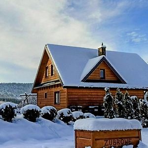 Bieszczady Zubrowe Wzgorze Villa Steznica  Exterior photo