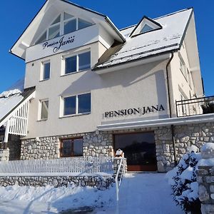 Hotel Pension Jana - Wellness Jilemnice Exterior photo