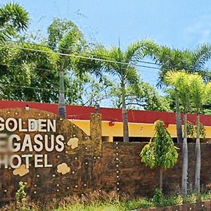 Golden Pegasus Hotel La Union By Reddoorz San Juan  Exterior photo