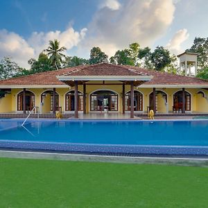 Treetop Spacious Resort Bentota With Pool Beruwala Exterior photo