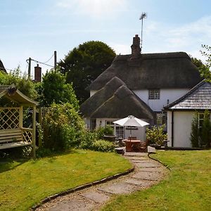 Yew Tree Cottage Farnham  Exterior photo