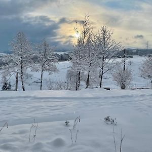 Rustic Inn Bed And Breakfast Budeşti Exterior photo