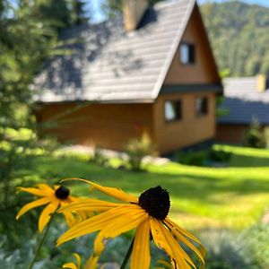 Reset Bieszczady Villa Bystre  Exterior photo