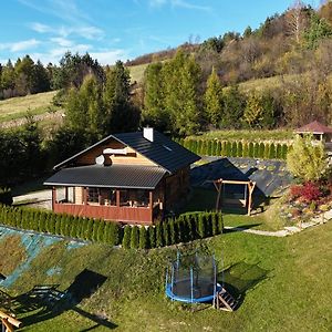 Kiczurka Bieszczady Villa Baligród Exterior photo